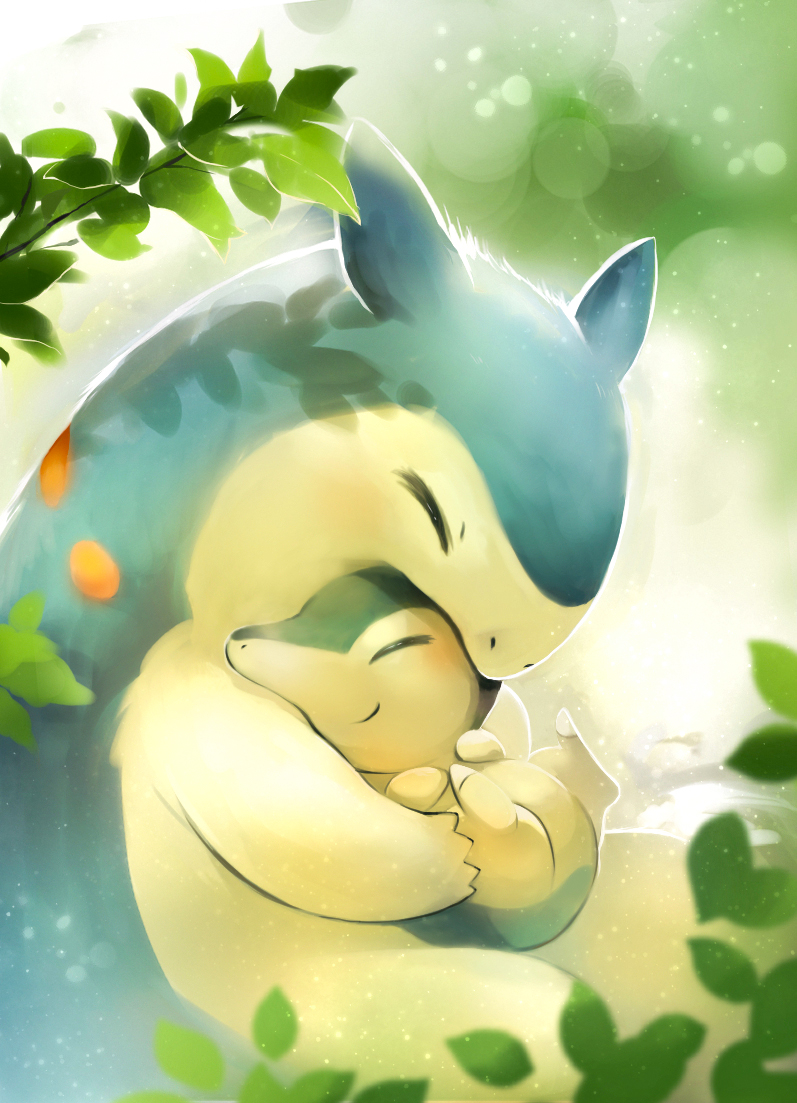cyndaquil and typhlosion (pokemon) drawn by toneko