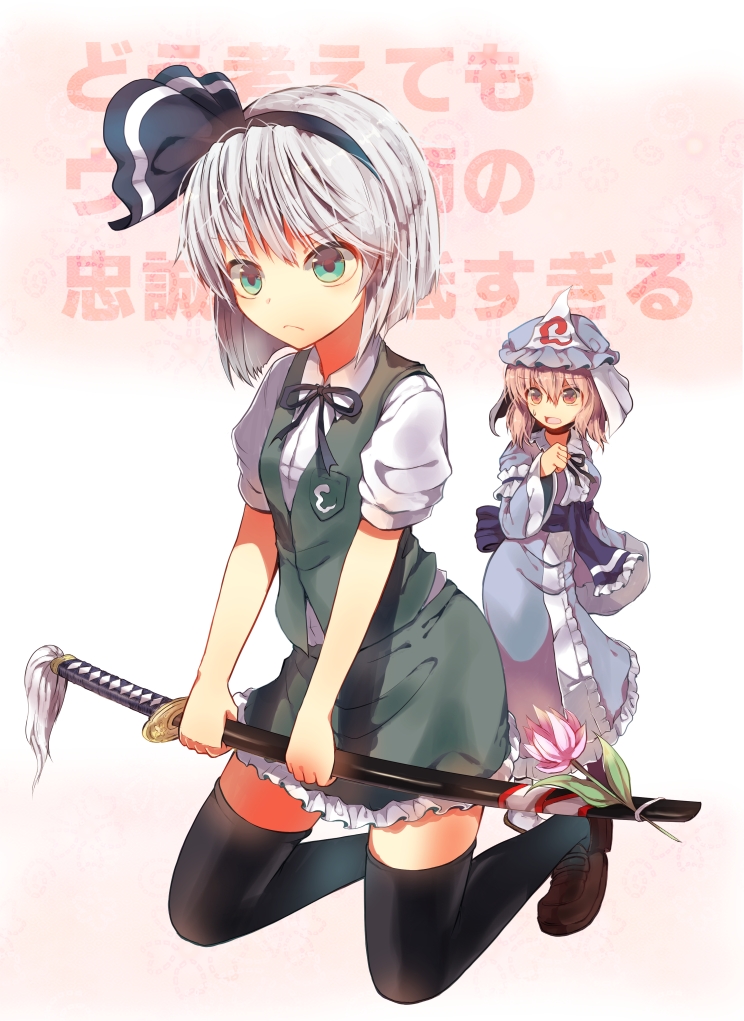konpaku youmu and saigyouji yuyuko (touhou) drawn by miya_(tsumazukanai)