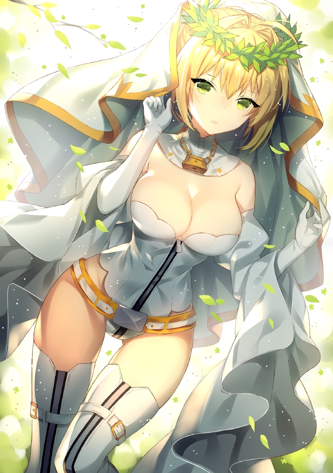 nero claudius (fate and 1 more) drawn by sora_72-iro