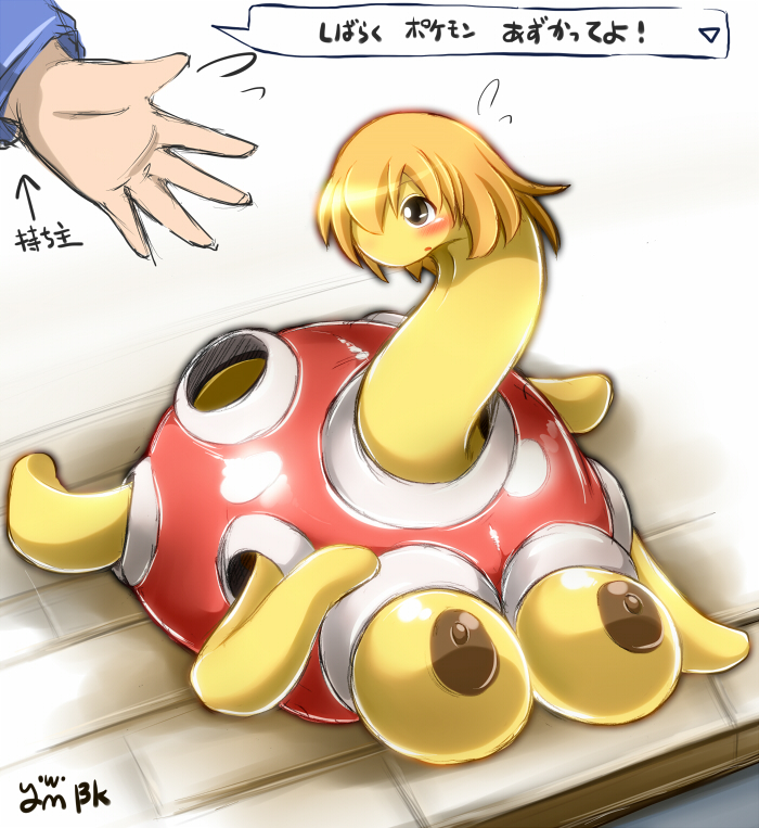 shuckle (pokemon) drawn by ymbk