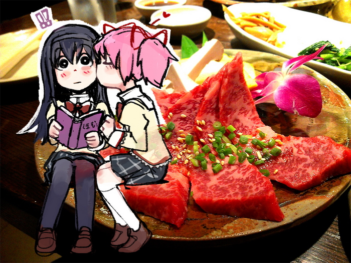 akemi homura and kaname madoka (mahou shoujo madoka magica) drawn by silverxp