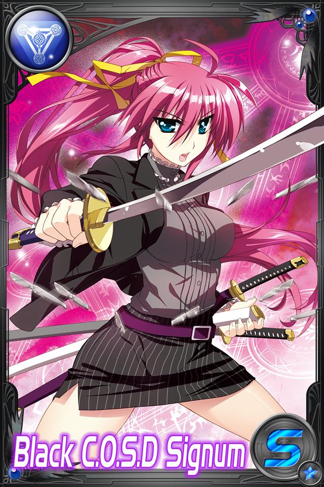 signum (lyrical nanoha and 4 more) drawn by fujima_takuya