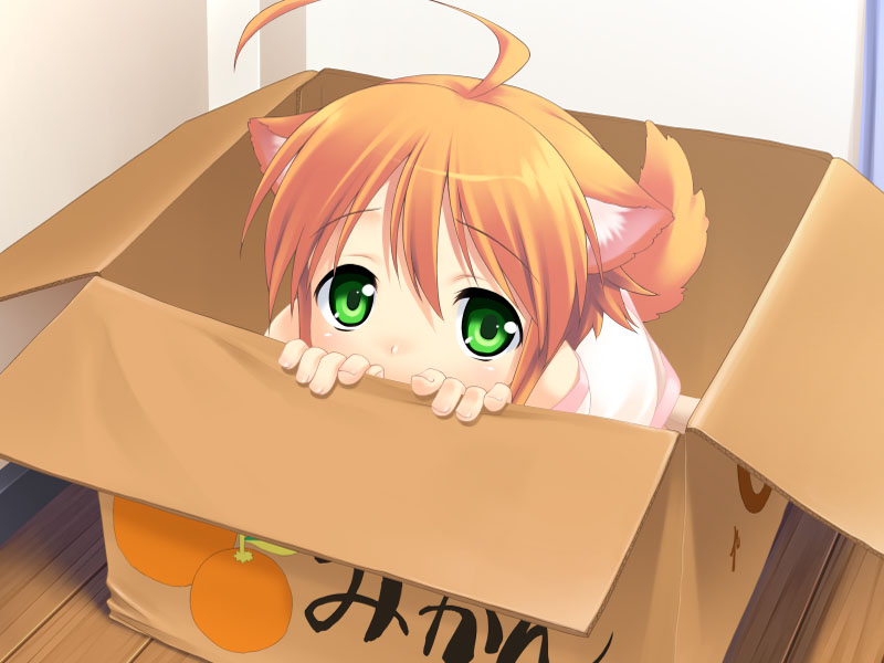 mikan (wanko to kurasou) drawn by mizuki_kotora