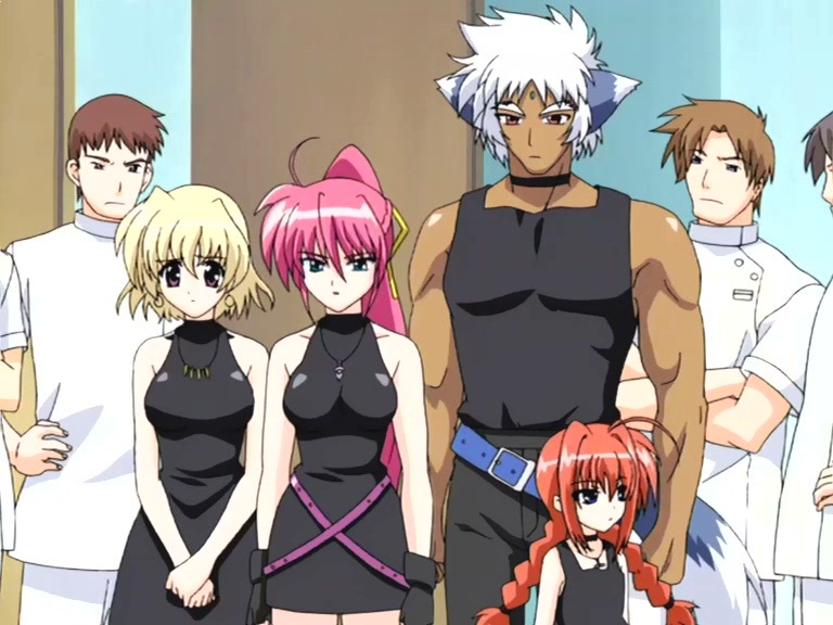 yagami hayate, vita, signum, shamal, and zafira (lyrical nanoha and 2 more)