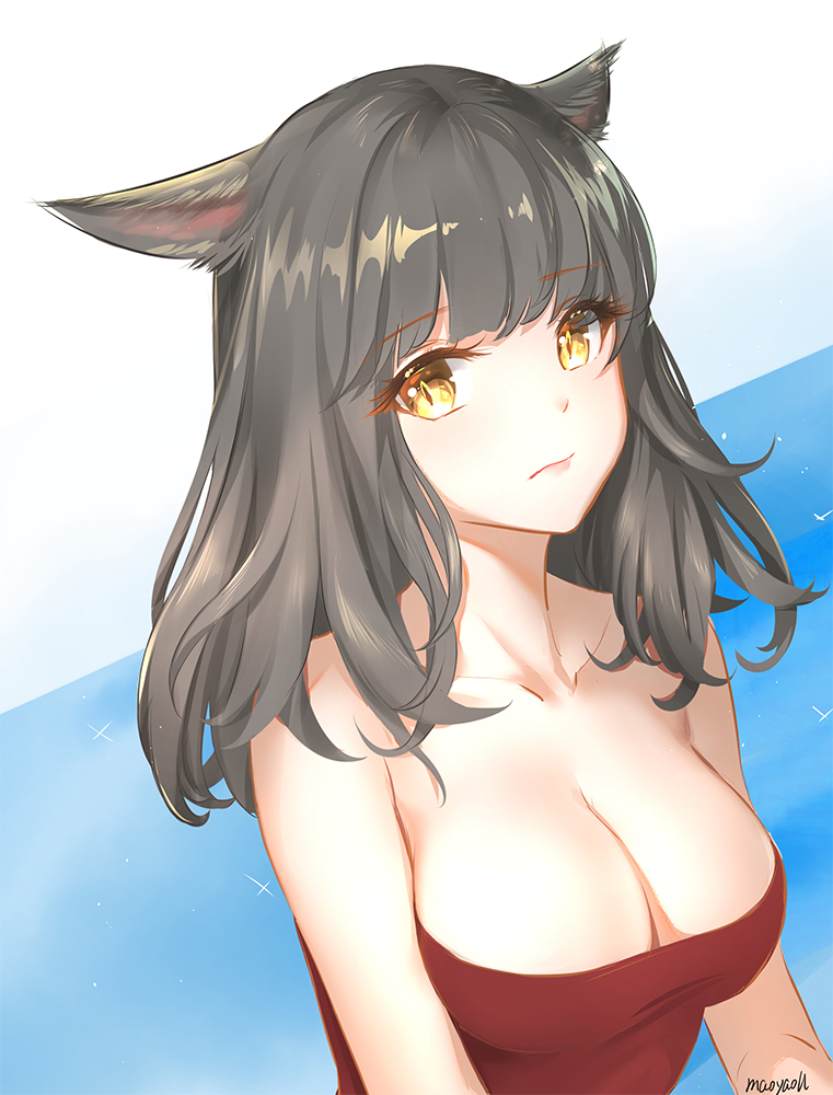 warrior of light (final fantasy and 1 more) drawn by maoyao-ll