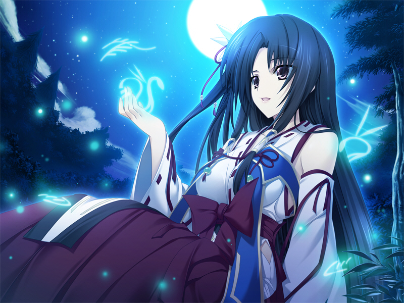 hieda saku (shiden enkan no kizuna) drawn by iizuki_tasuku