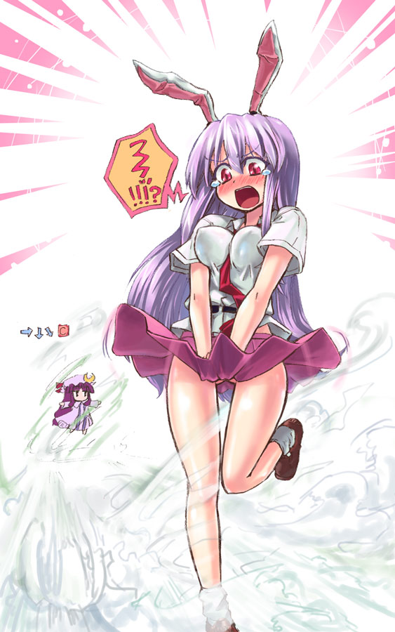 patchouli knowledge and reisen udongein inaba (touhou and 1 more) drawn by homura_subaru