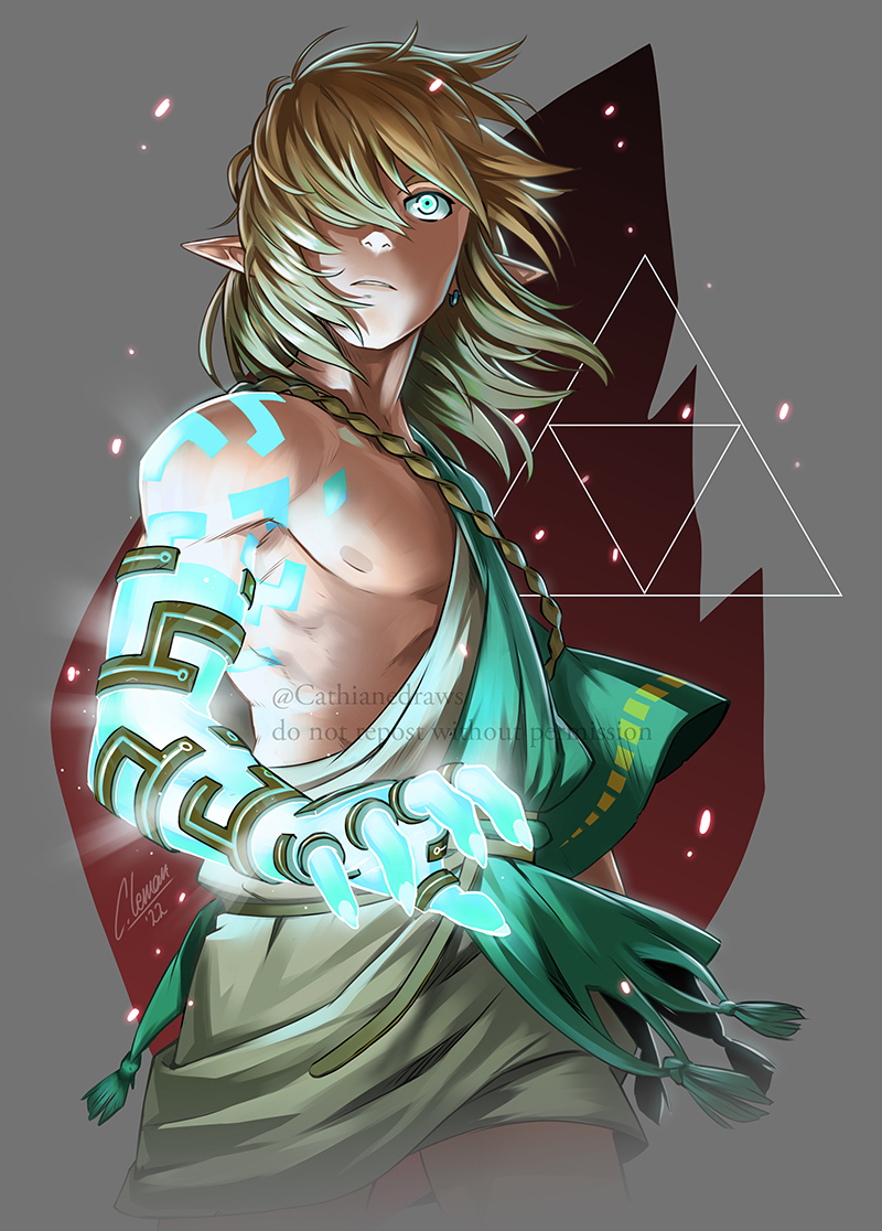 link (the legend of zelda and 1 more) drawn by cathiane