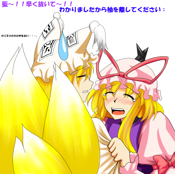 yakumo yukari and yakumo ran (touhou) drawn by youu_(midgard)