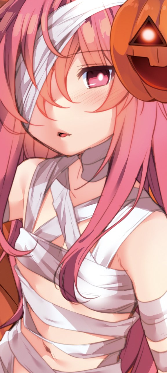 hata no kokoro (touhou) drawn by nigo_(aozoragarou)