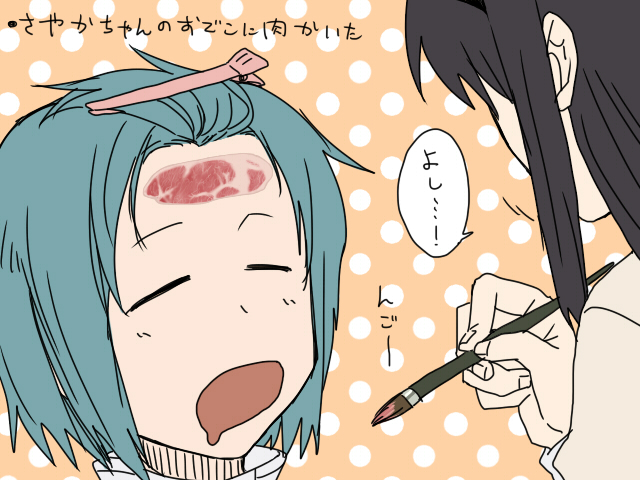 akemi homura and miki sayaka (mahou shoujo madoka magica) drawn by torinone