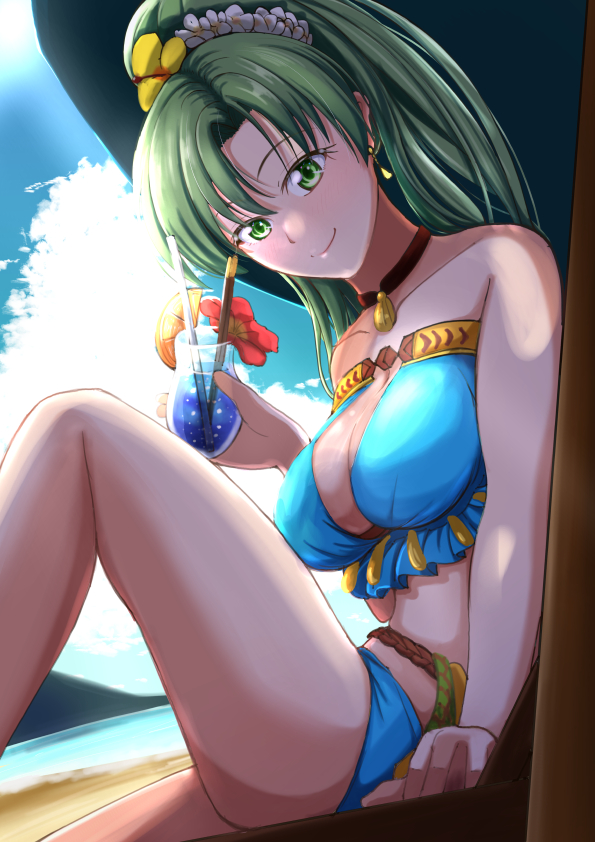 lyn (fire emblem and 2 more) drawn by boo_cipher