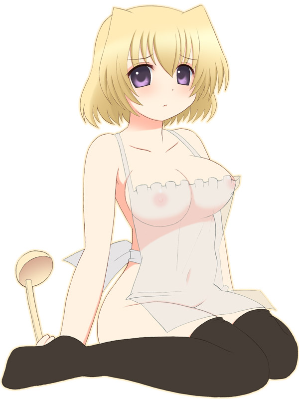 shamal (lyrical nanoha and 2 more) drawn by kurappii