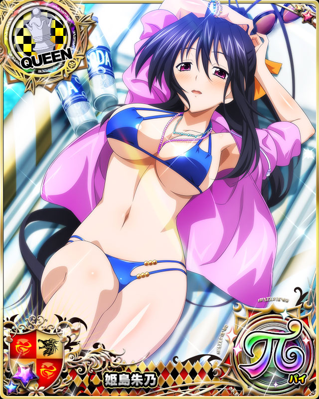 himejima akeno (high school dxd and 1 more)