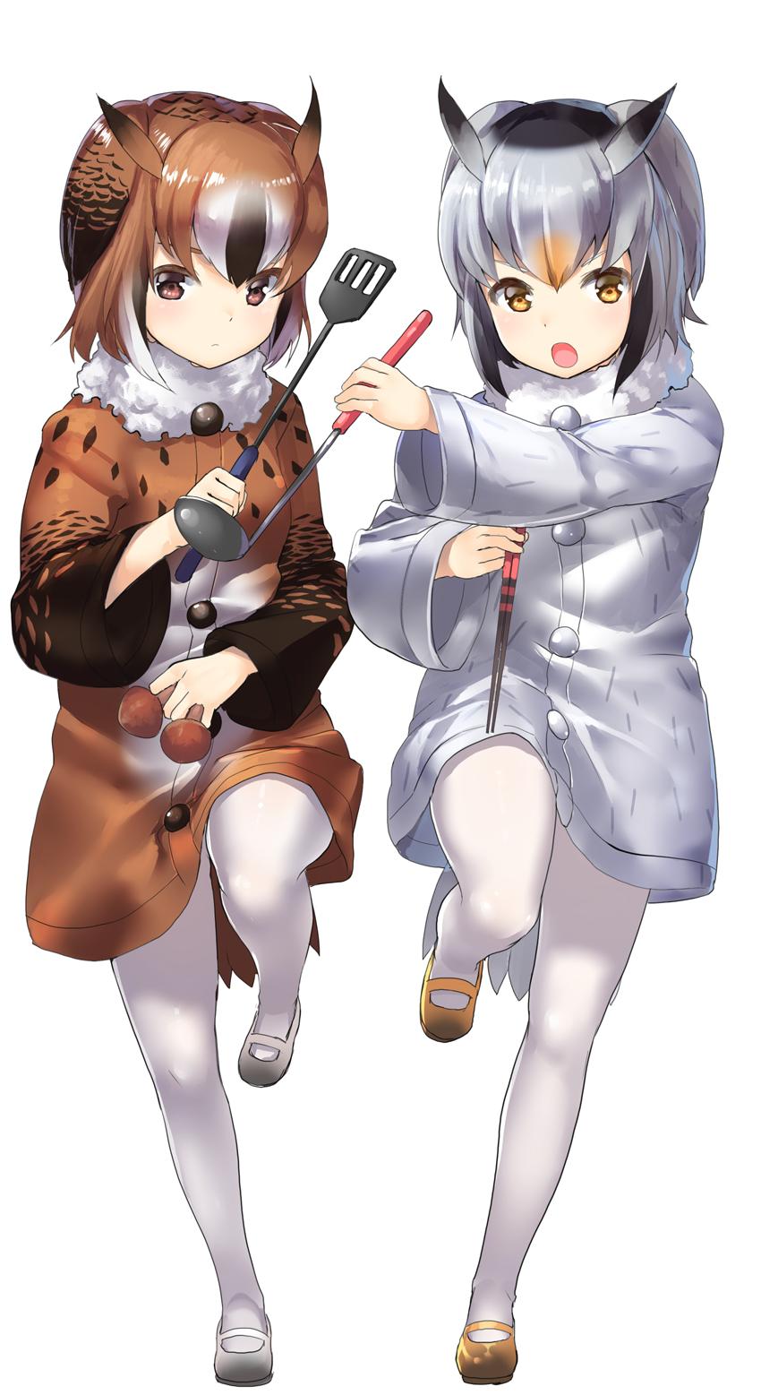 northern white-faced owl and eurasian eagle owl (kemono friends) drawn by tadano_magu