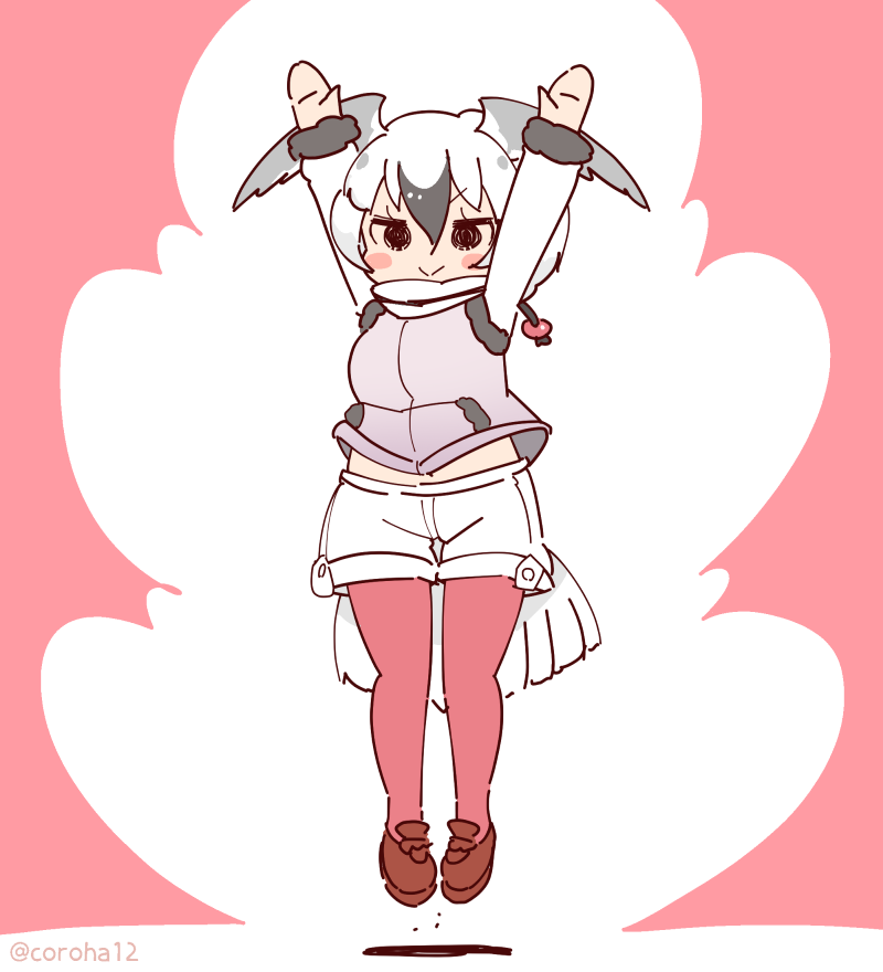ross's gull (kemono friends and 1 more) drawn by coroha
