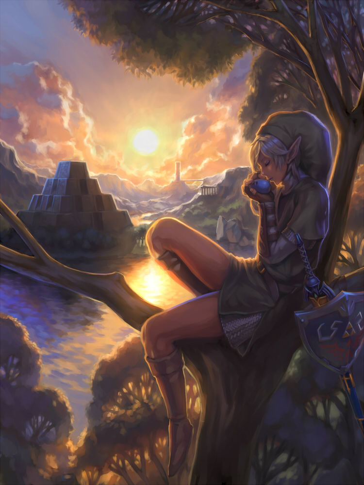 link (the legend of zelda and 1 more) drawn by mico_(paleshelter)