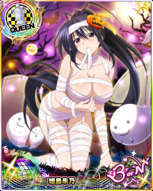 himejima akeno (high school dxd and 1 more)