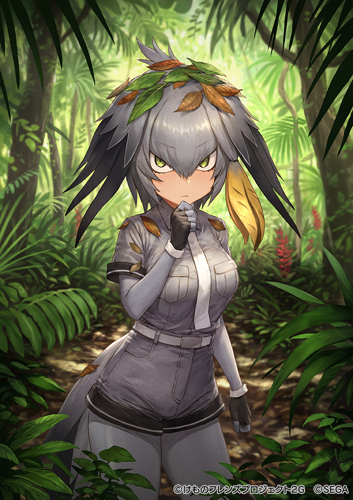 shoebill (kemono friends and 1 more) drawn by guchico