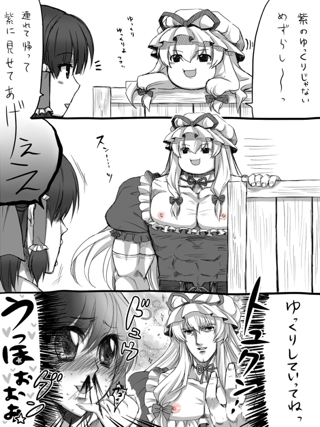 hakurei reimu and yakumo yukari (touhou and 1 more) drawn by takatsuki_ichi