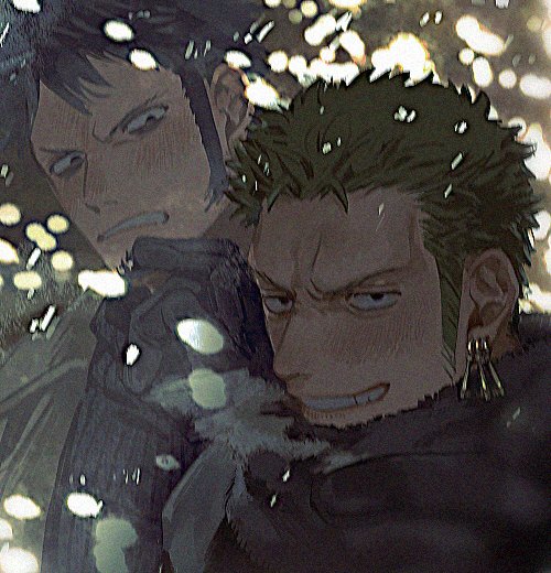 roronoa zoro and trafalgar law (one piece) drawn by kalk0011