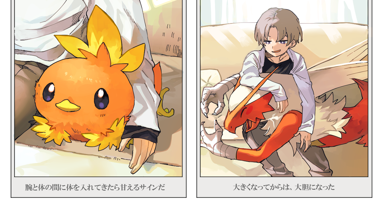 Torchic And Blaziken Pokemon Drawn By Newo Shinra P Danbooru