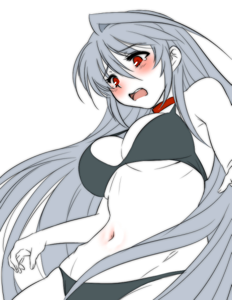 reinforce (lyrical nanoha and 2 more) drawn by shinanoya_(satanicad)