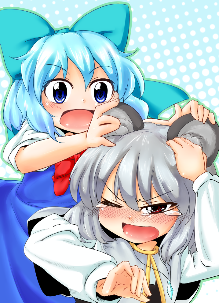 cirno and nazrin (touhou) drawn by tec