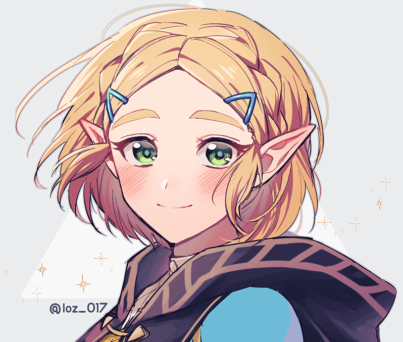princess zelda (the legend of zelda and 1 more) drawn by loz_017