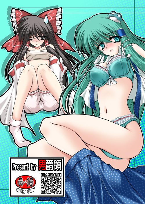 hakurei reimu and kochiya sanae (touhou) drawn by danshaku