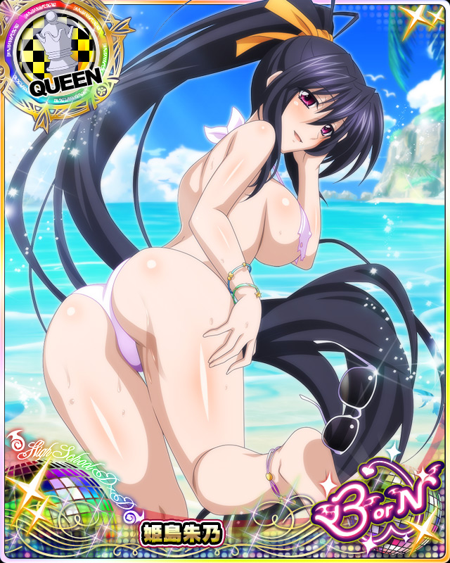 himejima akeno (high school dxd and 1 more)