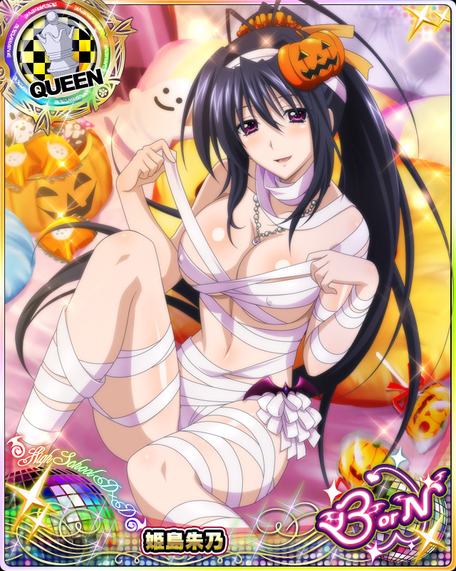 himejima akeno (high school dxd and 1 more)