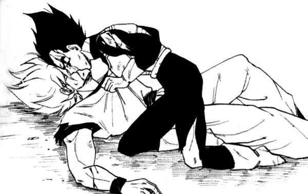 son goku and vegeta (dragon ball and 1 more)