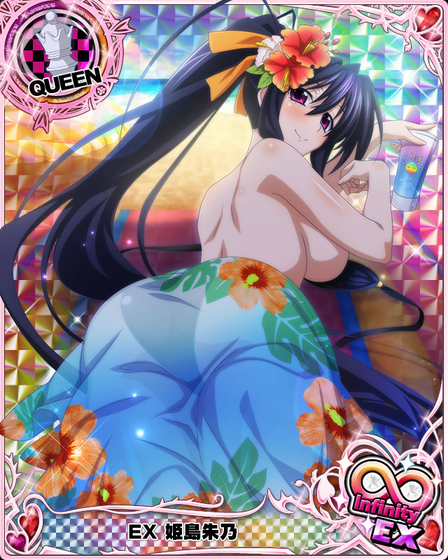 himejima akeno (high school dxd and 1 more)