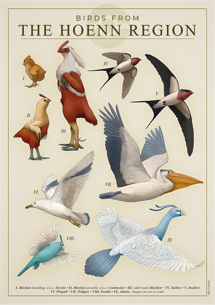 torchic, altaria, wingull, swablu, blaziken, and 4 more (pokemon) drawn by julio_lacerda