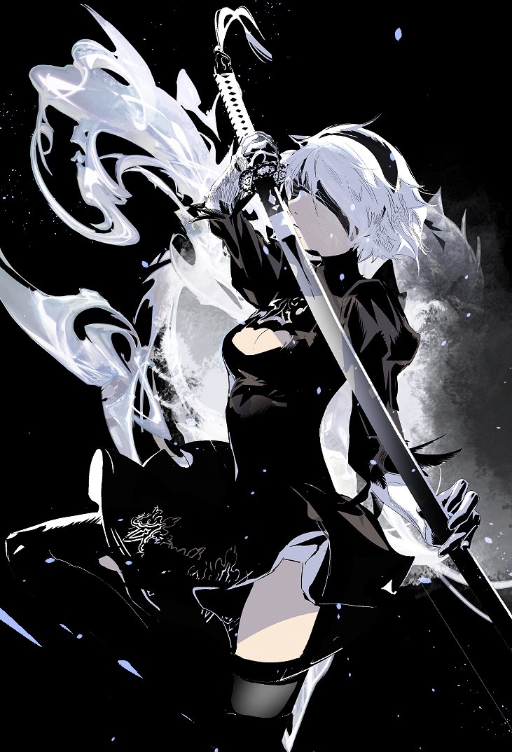 2b (nier and 1 more) drawn by cofffee