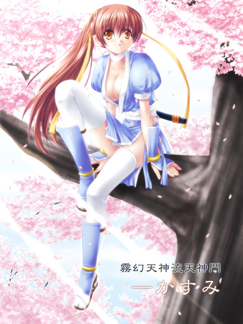 kasumi (dead or alive) drawn by na-ga