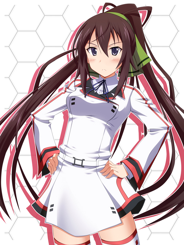 shinonono houki (infinite stratos) drawn by hyokkori_tamago