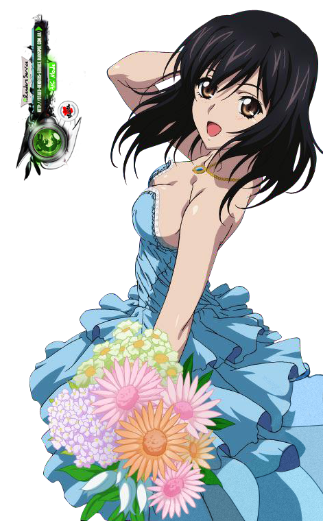 himeragi yukina (strike the blood) drawn by ors_anime_renders