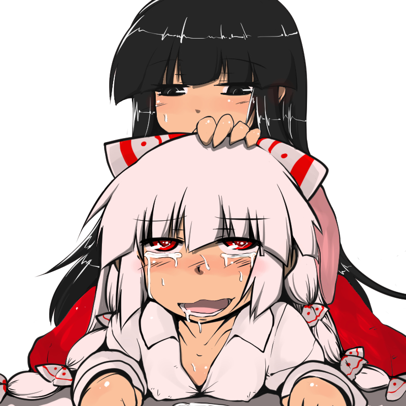 fujiwara no mokou and houraisan kaguya (touhou) drawn by nekokokazuma