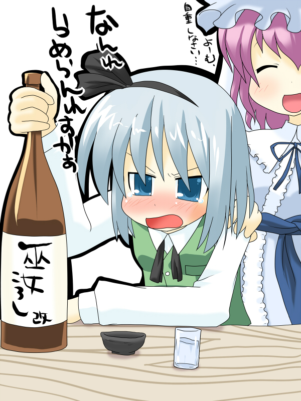 konpaku youmu and saigyouji yuyuko (touhou) drawn by hujikok