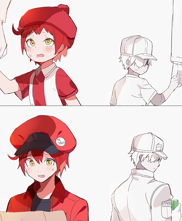 white blood cell, red blood cell, ae-3803, u-1146, erythroblast, and 1 more (hataraku saibou) drawn by joman