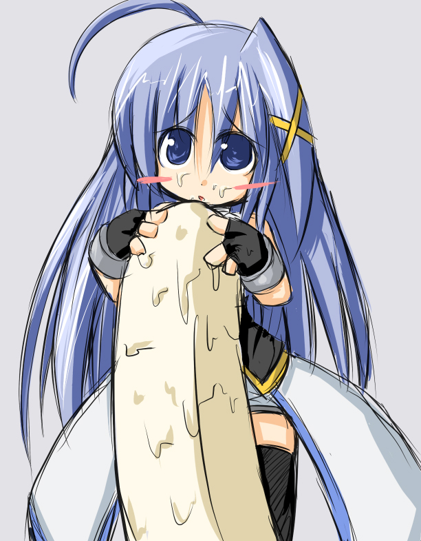 reinforce zwei (lyrical nanoha and 1 more) drawn by asuka_tsubasa