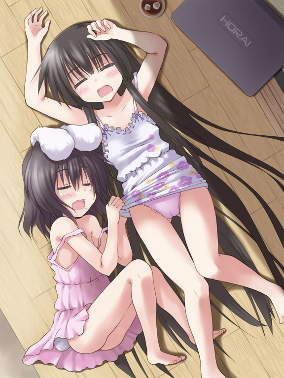 houraisan kaguya and inaba tewi (touhou) drawn by toshihiro