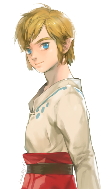 link (the legend of zelda and 1 more) drawn by mi-e-ra