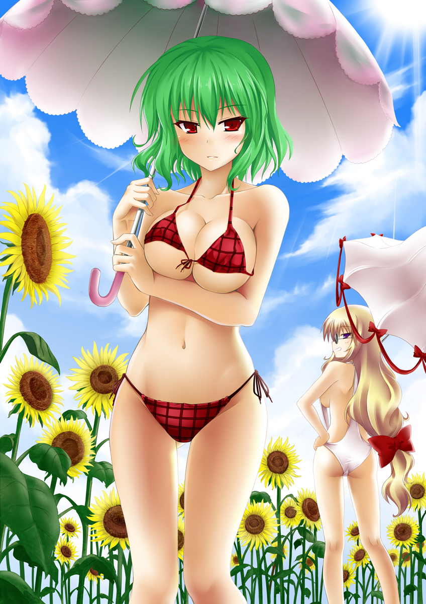 yakumo yukari and kazami yuuka (touhou) drawn by okitakung