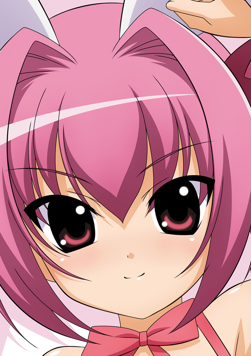 usada hikaru (di gi charat) drawn by sugimura_tomokazu