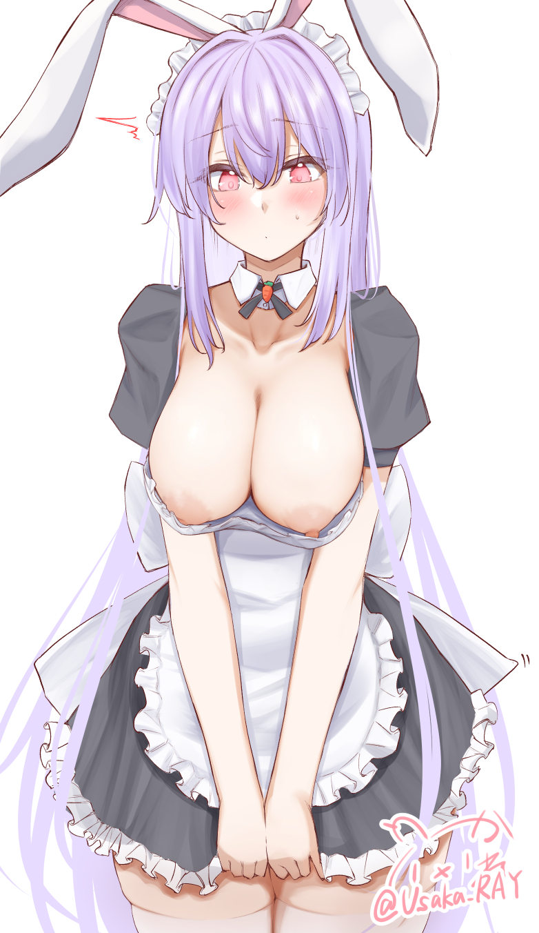 reisen udongein inaba (touhou) drawn by usaka_ray