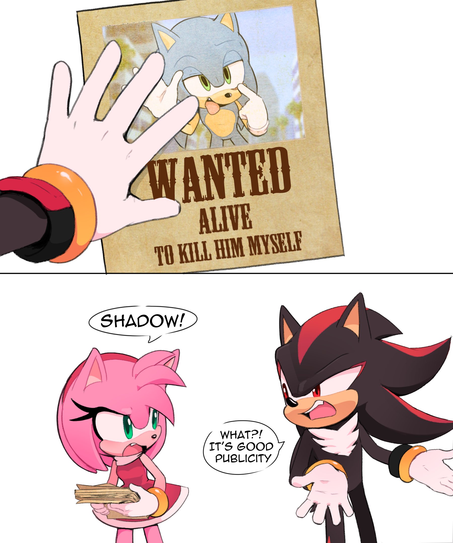 Image result for sonic x shadow fanfiction  Sonic and shadow, Sonic the  hedgehog, Sonic