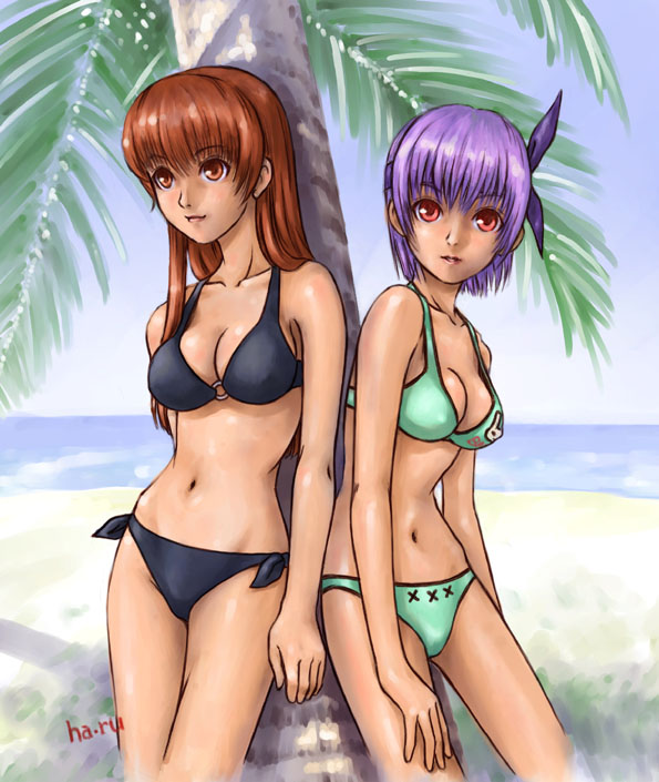 kasumi and ayane (dead or alive) drawn by ha-ru and nekoi_mie